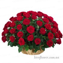 55 roses 